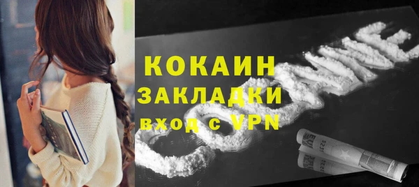 spice Новодвинск
