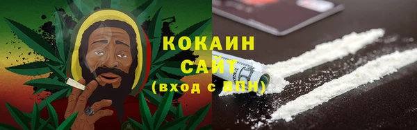 spice Новодвинск