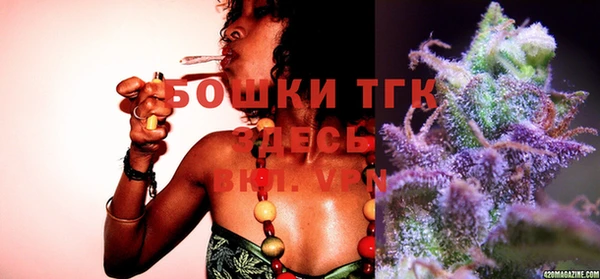 spice Новодвинск