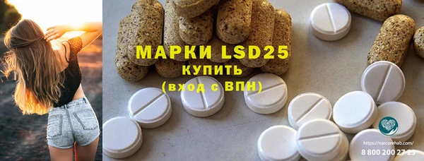 spice Новодвинск