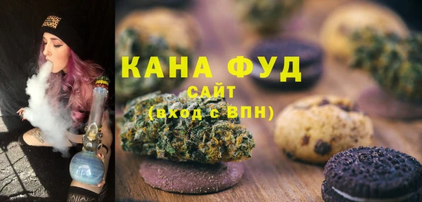 индика Болхов
