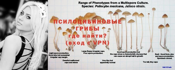 кристаллы Белокуриха